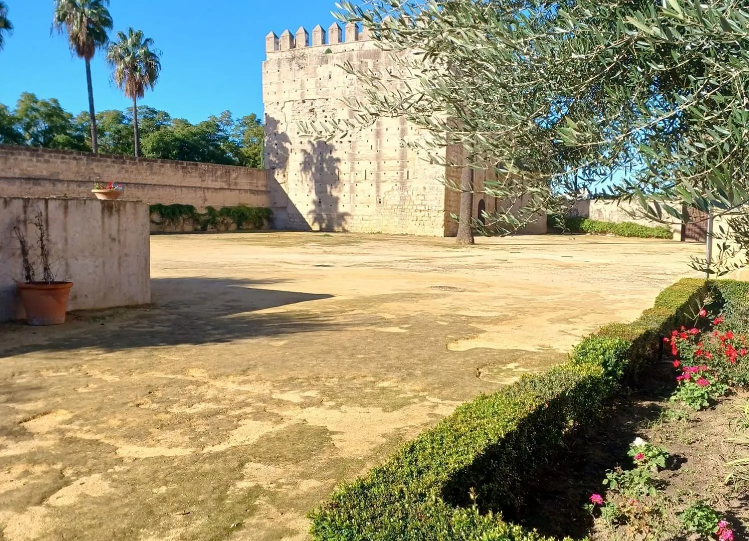 Homestay Habitacion Privada En Jerez 4 Jerez de la Frontera